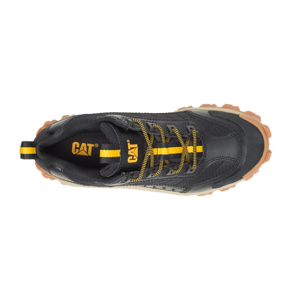 Tenis Caterpillar Intruder