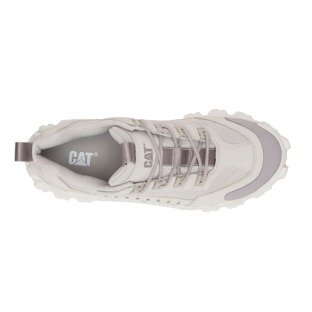 Tenis Caterpillar Intruder Hombre Beige | MX2659BC