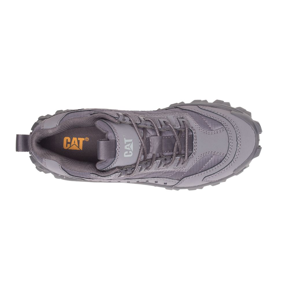 Tenis Caterpillar Intruder