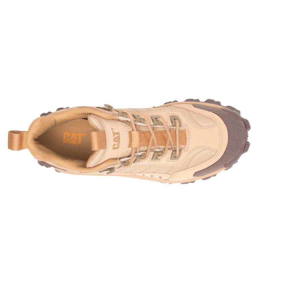 Tenis Caterpillar Intruder Mid Hombre Marrom | MX2647PQ