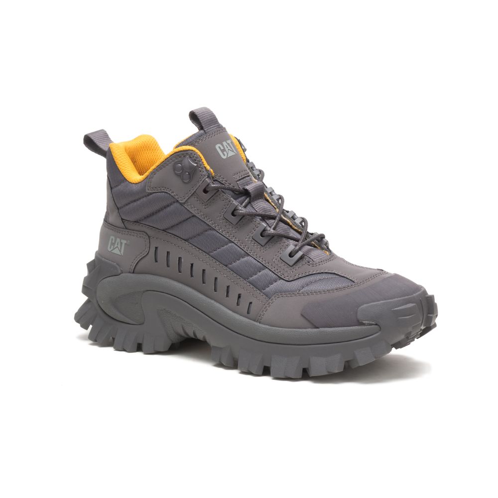 Tenis Caterpillar Intruder Mid Hombre Morados | MX2648OR