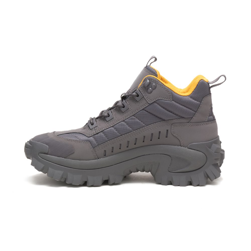 Tenis Caterpillar Intruder Mid Hombre Morados | MX2648OR