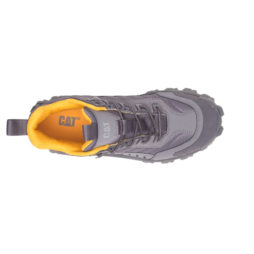 Tenis Caterpillar Intruder Mid Hombre Morados | MX2648OR