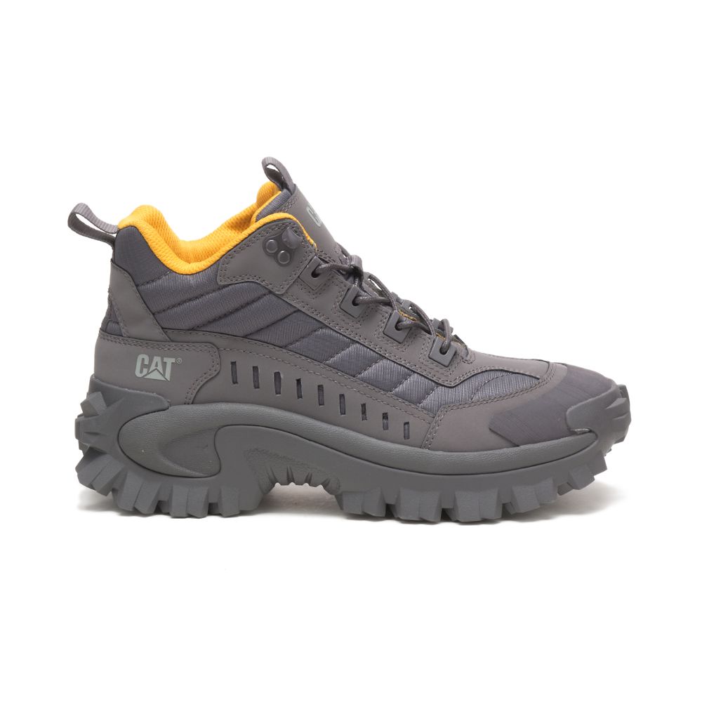 Tenis Caterpillar Intruder Mid Hombre Morados | MX2648OR