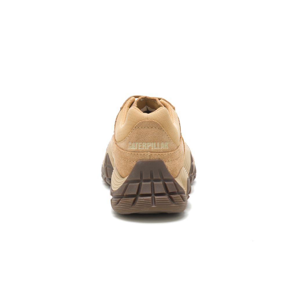 Tenis Caterpillar Vapor Hombre Marrom | MX2676UT