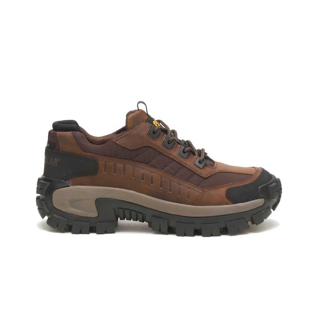 Zapatos De Trabajo Caterpillar Invader Steel Puntera Hombre Cafes | MX2592ZG